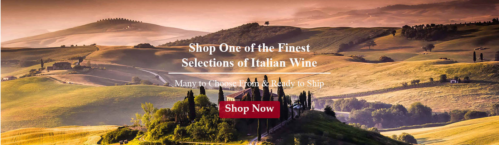 Winestop Banner